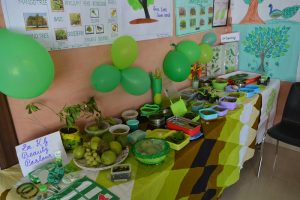 COLOURS DAY CELEBRATION 2 (3)