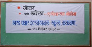 Rubella and Measles Vaccination Camp (1)