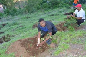 Tree Plantation at SPIS (10)