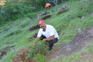 Tree Plantation at SPIS (11)