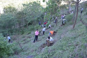 Tree Plantation at SPIS (12)