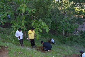 Tree Plantation at SPIS (14)