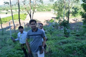 Tree Plantation at SPIS (15)
