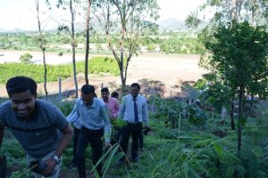 Tree Plantation at SPIS (16)