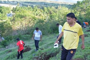 Tree Plantation at SPIS (2)