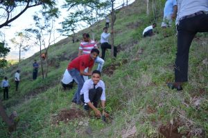 Tree Plantation at SPIS (20)