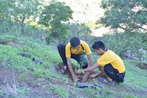 Tree Plantation at SPIS (21)