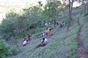 Tree Plantation at SPIS (23)