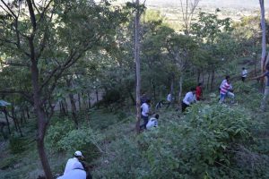 Tree Plantation at SPIS (24)