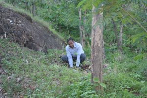 Tree Plantation at SPIS (26)