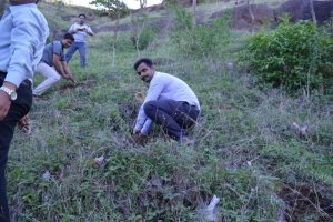 Tree Plantation at SPIS (28)
