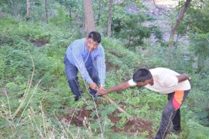 Tree Plantation at SPIS (4)