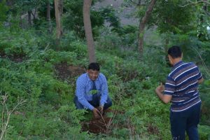 Tree Plantation at SPIS (5)