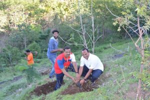 Tree Plantation at SPIS (7)