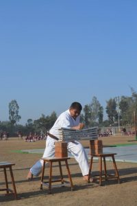 REPUBLIC DAY CELEBRATIONS (10)