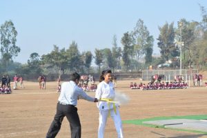 REPUBLIC DAY CELEBRATIONS (18)