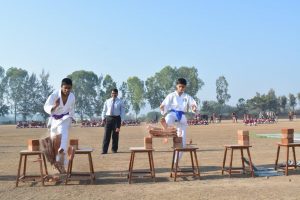 REPUBLIC DAY CELEBRATIONS (28)
