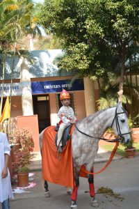 Shiv Jayanti (7)