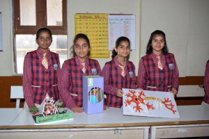 Technovation 6 (44)