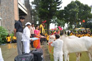 Pola Celebrations (1)