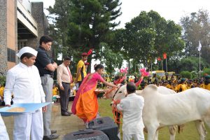Pola Celebrations (2)