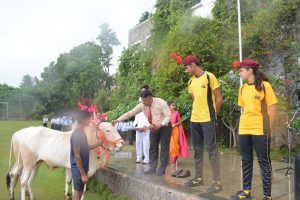 Pola Celebrations (4)